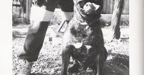 Romo de Atlas Asio, facsímil Molosos 1998